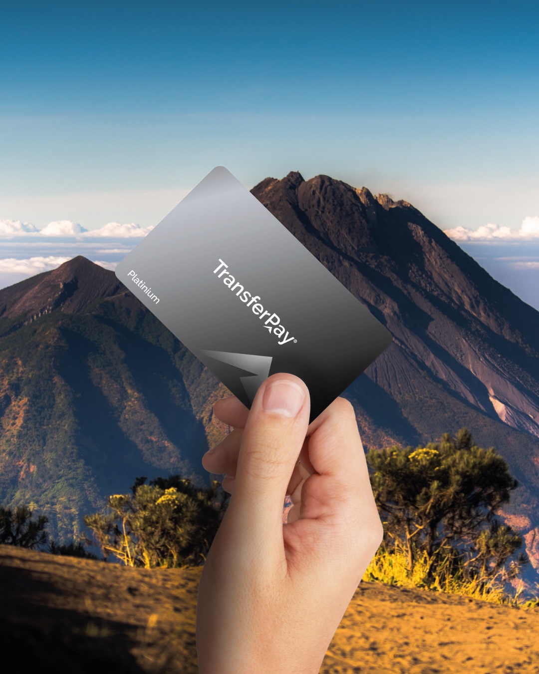 TransferPay